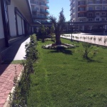 IDEAL Real Estate-olive-garden-avsallar032